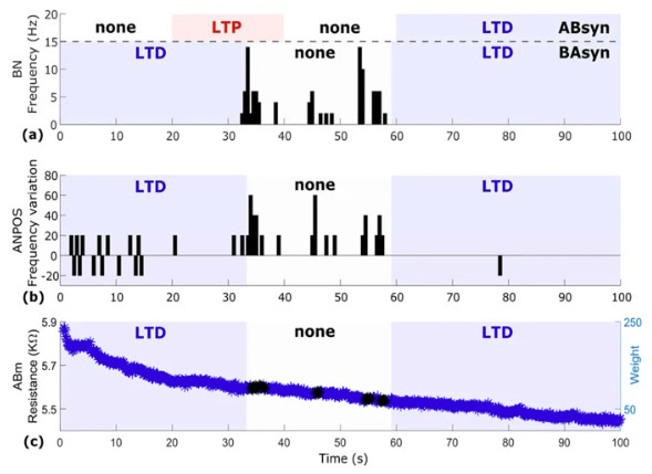 Linking Brain and Artifical nerurons to the web